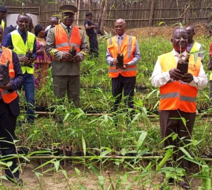 Ultrices sagittis orci a scelerisque purus semper eget duis at. Sollicitudin nibh sit amet.