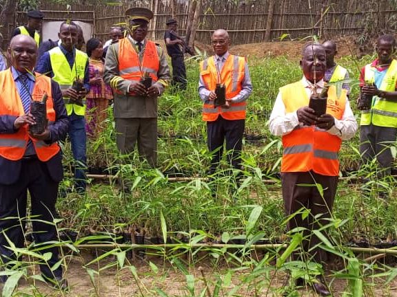 Ultrices sagittis orci a scelerisque purus semper eget duis at. Sollicitudin nibh sit amet.