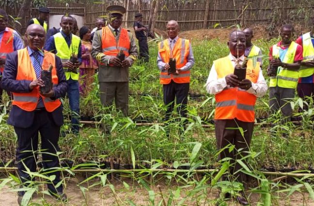 Ultrices sagittis orci a scelerisque purus semper eget duis at. Sollicitudin nibh sit amet.