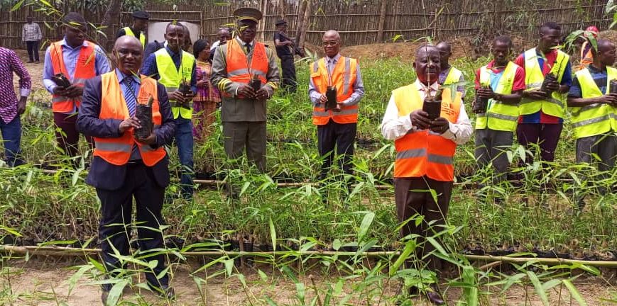 Ultrices sagittis orci a scelerisque purus semper eget duis at. Sollicitudin nibh sit amet.